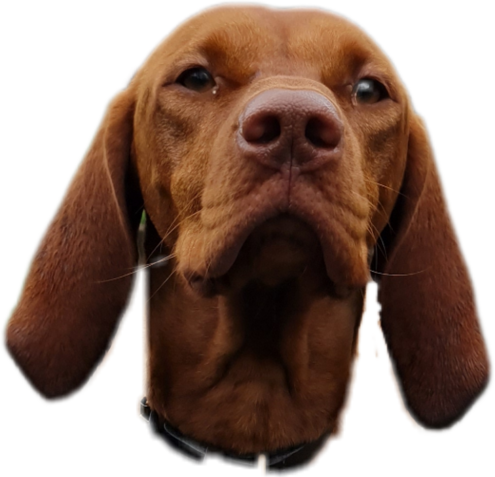 Chegoface.png