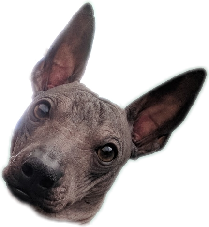 Churroface.png