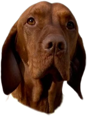 Cooperface.png