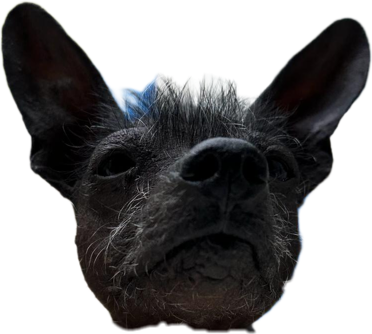Eddieface.png