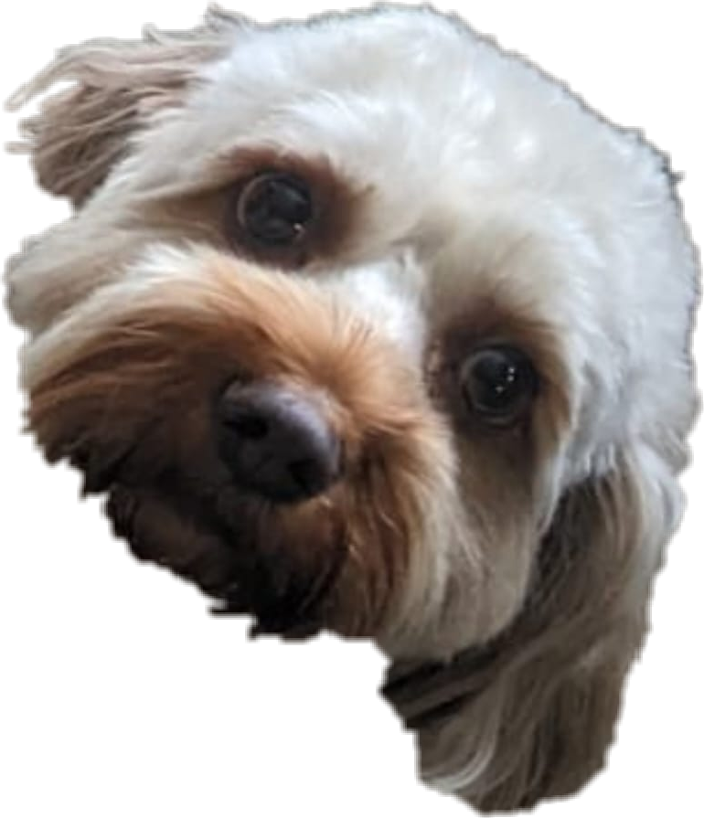 Enzoface.png
