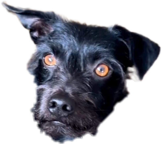 Marcoface.png