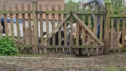 Animated daycare
