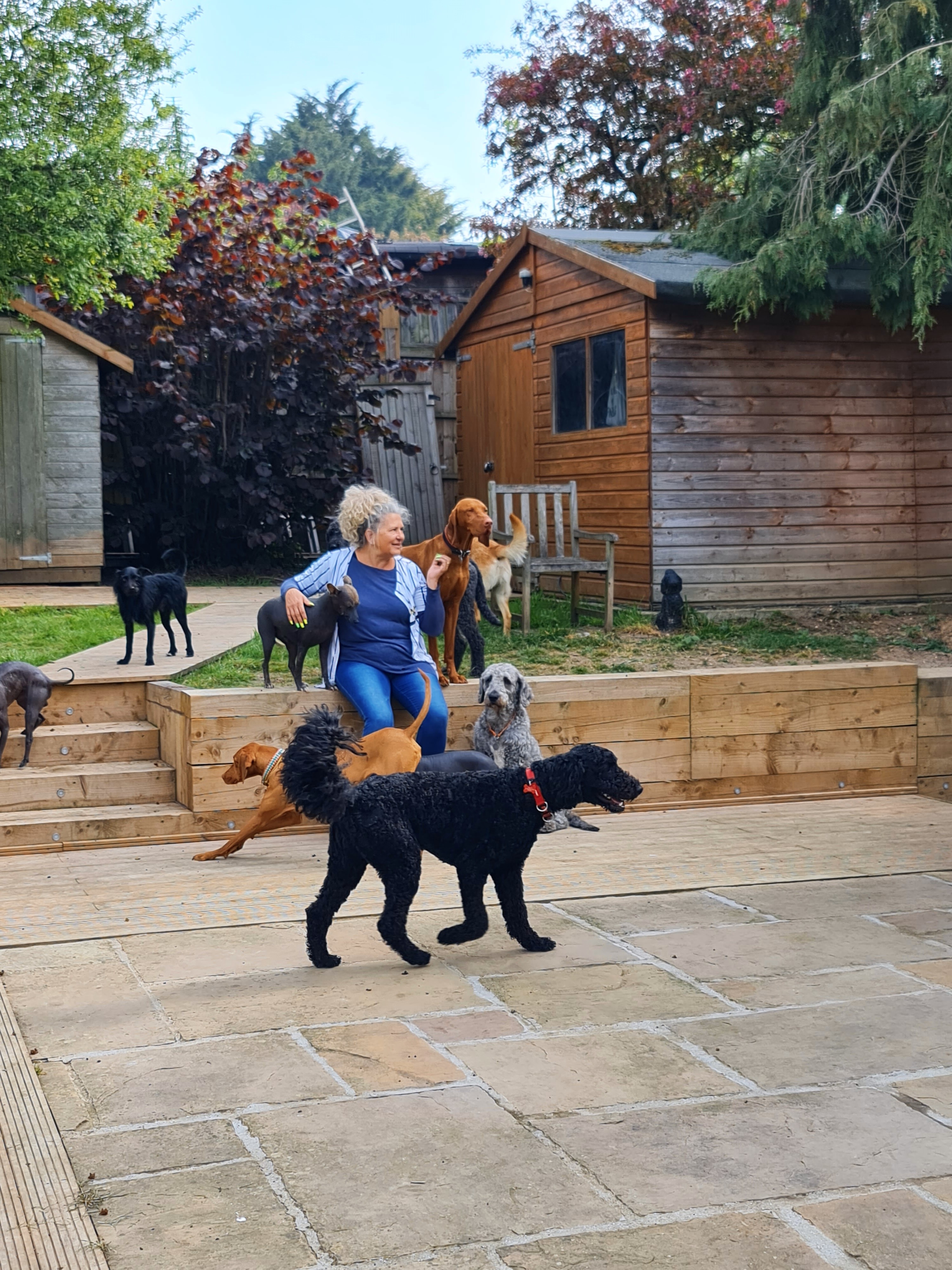 sharonwithdogs.jpg